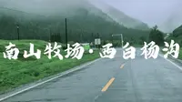 南山牧场西白杨沟