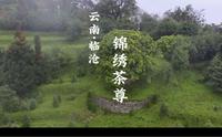 3200多年茶树，锦绣茶尊。千年千万代表不了贯穿历史的它。