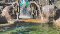北黄海温泉游玩