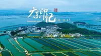 广东汕尾这个人口不到2000人的村子，“蚝”年产量竟达1.8万吨！！
