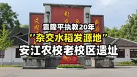 “杂交水稻发源地”冷门景点！【人文砥理 02】袁隆平执教20年的学校！安江农校老校区遗址！