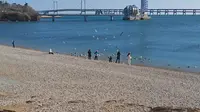 大连星海公园