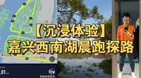 【沉浸体验】嘉兴西南湖晨跑探路，小桥流水，深林森林氧吧，值得探索体验！