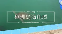 湛江，硇洲岛的海龟城，喂海龟