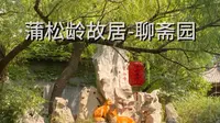 因为一首歌火了被迫营业的景点也是头一家了吧——蒲松龄故居-聊斋园