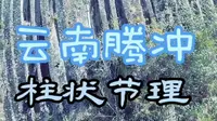 地理奇观柱状节理～云南腾冲柱状节理