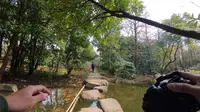 【Vlog】打卡上海浦东滨江森林公园