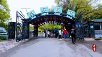 平山《皇家鹿苑》2024.6.2拍摄