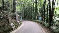 参观靖州县文峰塔，唱一师校歌