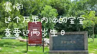 南宁市顶蛳山遗址博物馆二周年纪念视频——《顶蛳生长》