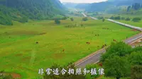 重庆武隆仙女山国家森林公园，行程时间安排规划-下，一定要看哟