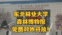 东北林业大学 森林博物馆免费开放了！