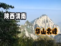 陕西渭南（下）登华山被封云台峰，终于找到可以撸的华山猫