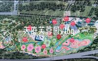 成都天府芙蓉园Vlog