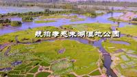 大美孝感——航拍孝感朱湖湿地公园！
