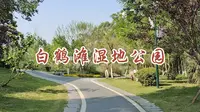新津白鹤滩湿地公园，记录一下