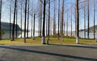 宁波后花园东钱湖，马山湿地公园