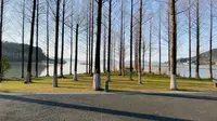 宁波后花园东钱湖，马山湿地公园