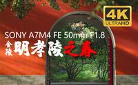 【4K】明孝陵之春 每一帧都是壁纸！A7M4 |  FE 50mm F1.8 带你看绝美风景