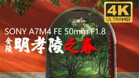 【4K】明孝陵之春 每一帧都是壁纸！A7M4 |  FE 50mm F1.8 带你看绝美风景