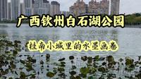 实拍广西钦州白石湖公园，桂南小城的水墨画卷，环境优美风景好！