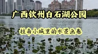 实拍广西钦州白石湖公园，桂南小城的水墨画卷，环境优美风景好！