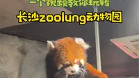 来长沙zoolung看这一个视频就够啦