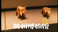 走，一起沉浸式逛荆州博物馆