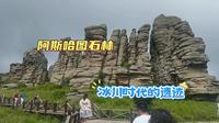 内蒙自驾11：热阿线阿斯哈图石林160元的门票，去了以后后悔吗？
