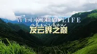 发云界之巅