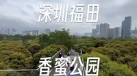 60分钟逛深圳最有趣的福田香蜜公园 | 公园评测#3