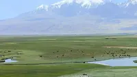 塔合曼湿地公园观景台