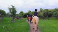 呼伦贝尔黑山头骑马湿地穿越
