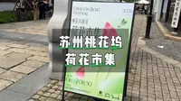 苏州桃花坞荷花市集