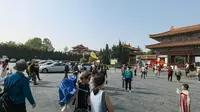 打卡洛阳—中国国花园