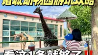 带娃去诸城动物园保姆级攻略！需要注意这4点！