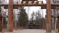 【科普】浮石——长白山 峡谷浮石林