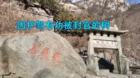中国最牛松树，因护驾有功被封为五大夫松，原因让人哭笑不得