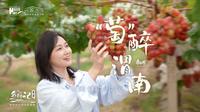 别问了，这不是法国南部！这里是陕西渭南葡萄园！