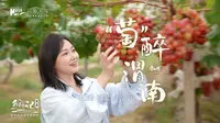 别问了，这不是法国南部！这里是陕西渭南葡萄园！