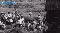 宁德下党乡：一条具有闽东特色的乡村振兴之路