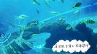 去海洋馆做一天小朋友【成都海滨城浩海立方海洋馆】