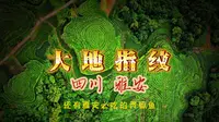 四川雅安惊艳的茶园-大地指纹！到雅安，必须吃一顿贡椒鱼！