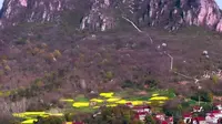 庐江县乐桥镇岱鳌山主峰龙王顶，是集风光、宗教、神话传说于一体的著名人文景点。