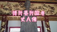 【探秘】博兴县兴国寺:丈八佛的神秘面纱