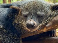 【普洱太阳河森林公园】更新了一条视频，快来围观！