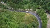 【自然欣赏】我们的国家公园-中国钱江源国家公园