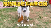 20250413 玩转河源巴伐利亚庄园