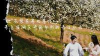 “她”在梨花深处等你——来自辽宁本溪诗画乡村的春日私语#春山花烂漫灼灼盼君来 这个五一假期，诚邀您来本溪市大黑贝三生景区踏青赏花～