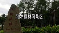 独木成林风景区